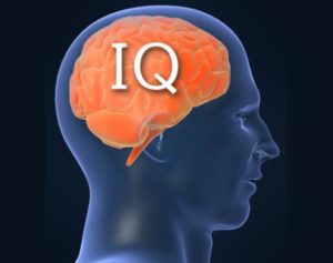 How To Test Your IQ
